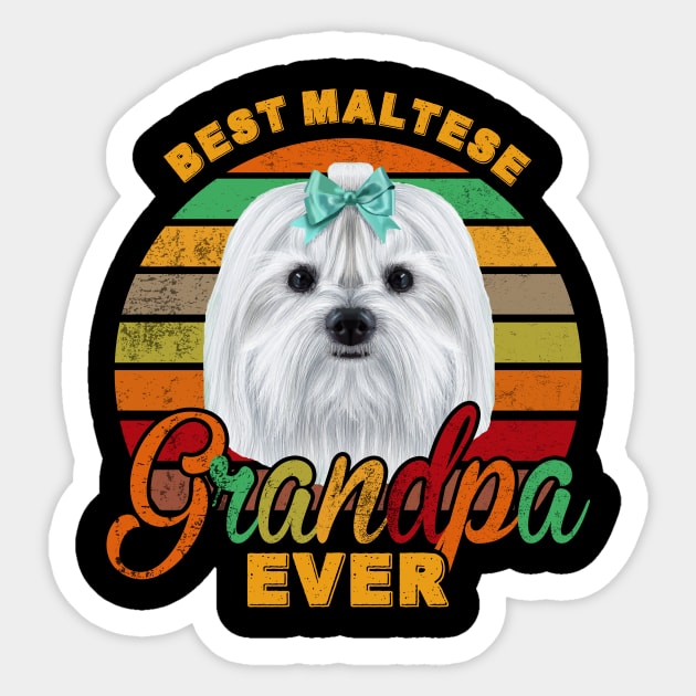 Best Maltese Grandpa Ever Sticker by franzaled